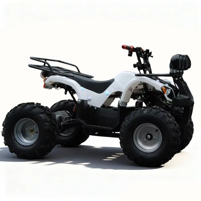 Kids Outdoor Quad Bike - 750W 48V Kids Electric ATV Quad