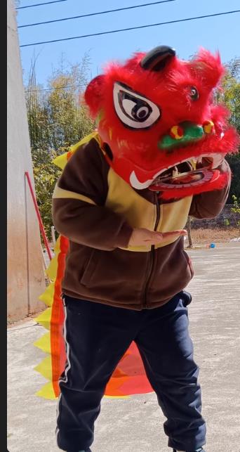 Kids Outdoor Nature Toys - 2-5 age 12inch Lion Dance Set
