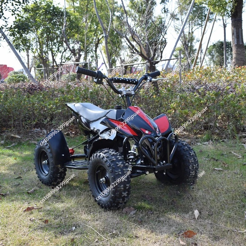 49cc 2-Stroke Mini Motorcycle  - огляд і ціна Kids Outdoor Quad Bike