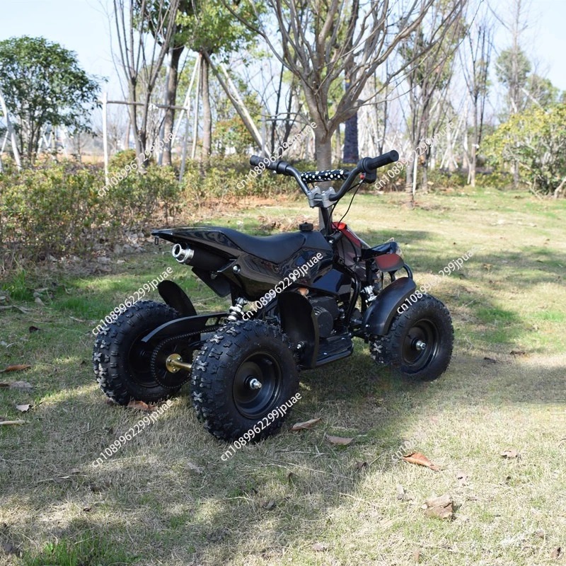 49cc 2-Stroke Mini Motorcycle  - огляд і ціна Kids Outdoor Quad Bike