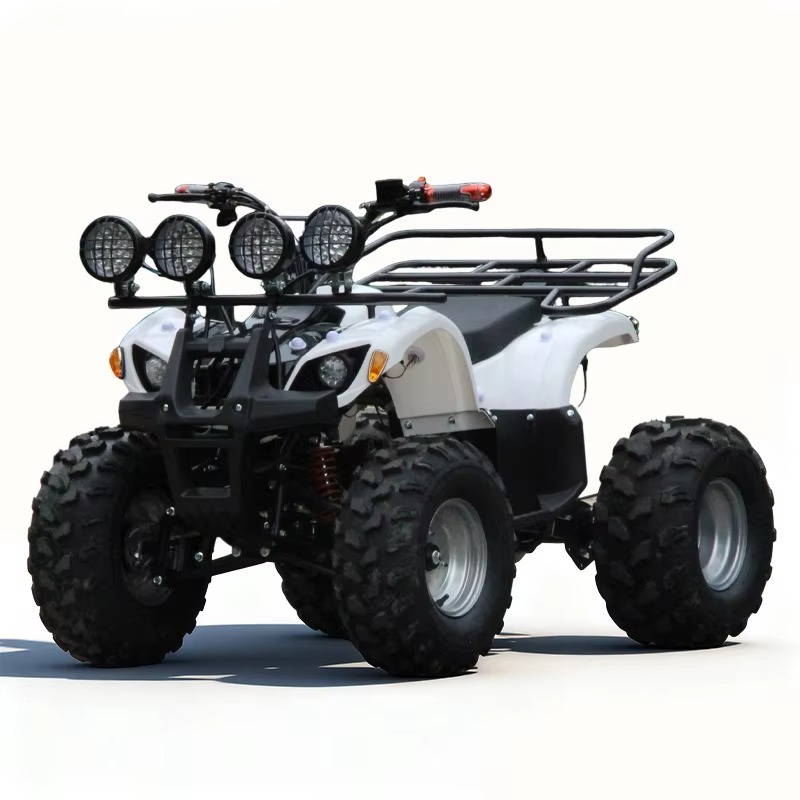 750W 48V Kids Electric ATV Qua - огляд і ціна Kids Outdoor Quad Bike
