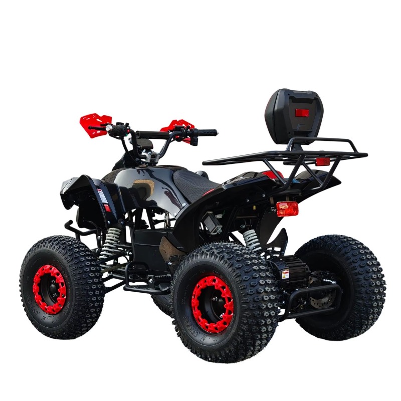 Electric Shaft Drive ATV Quad  - огляд і ціна Kids Outdoor Quad Bike