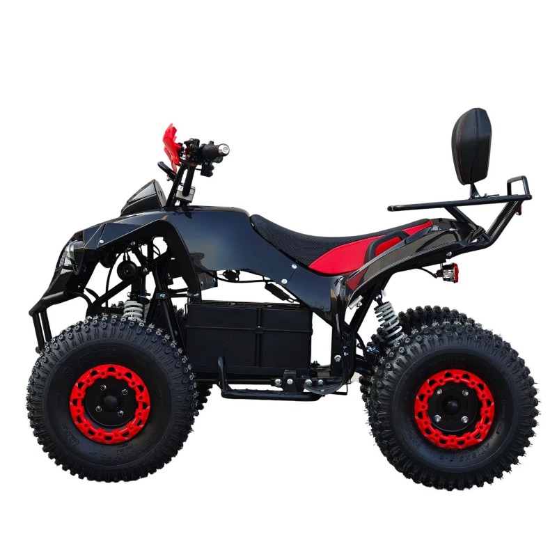 Electric Shaft Drive ATV Quad  - огляд і ціна Kids Outdoor Quad Bike