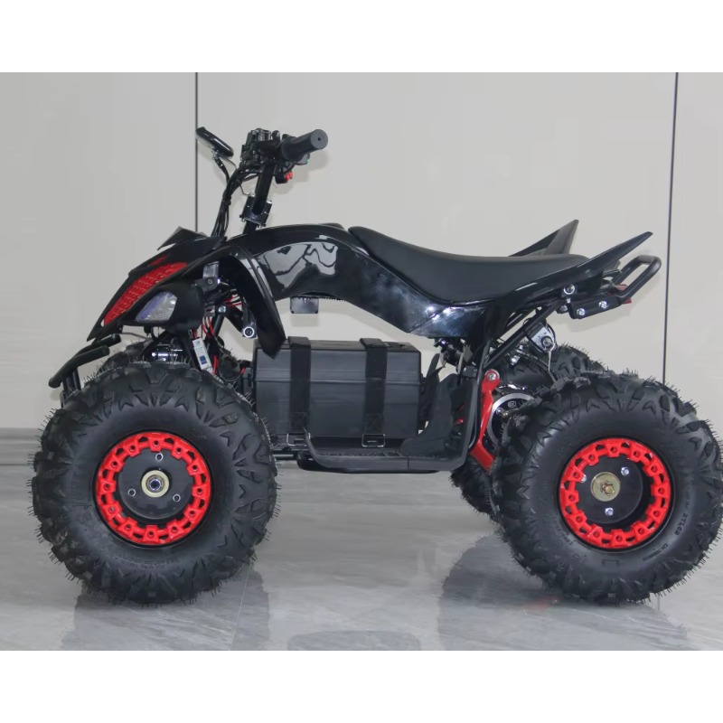 48V 1000W Electric Kids ATV 4  - огляд і ціна Kids Outdoor Quad Bike