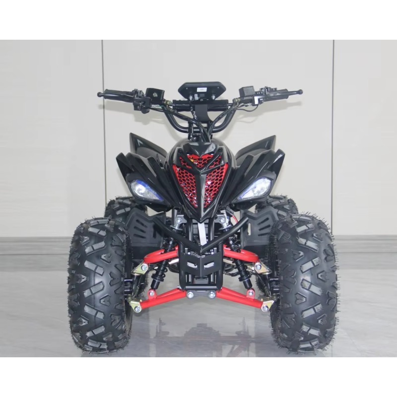 48V 1000W Electric Kids ATV 4  - огляд і ціна Kids Outdoor Quad Bike